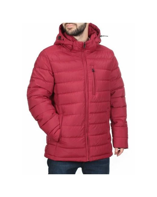 Не определен куртка демисезон/зима силуэт прямой карманы манжеты грязеотталкивающая ветрозащитная капюшон размер 56 бордовый