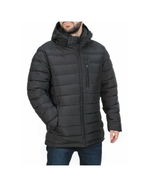 Не определен куртка демисезон/зима силуэт прямой карманы манжеты грязеотталкивающая ветрозащитная капюшон размер 46