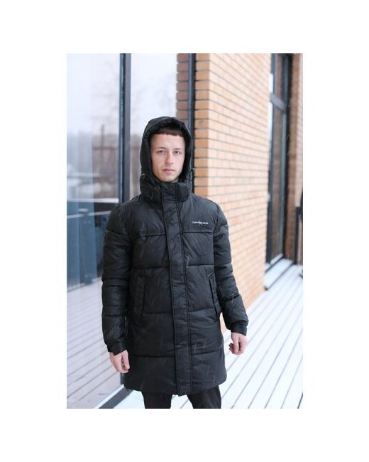 Lux куртка демисезон/зима силуэт полуприлегающий размер 50
