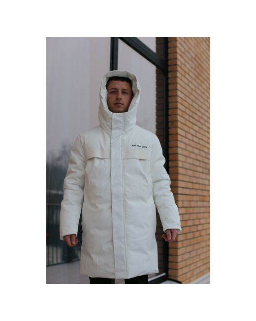 Lux куртка демисезон/зима силуэт полуприлегающий размер 46