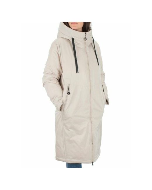 Не определен куртка зимняя силуэт прямой стеганая манжеты капюшон ветрозащитная внутренний карман влагоотводящая подкладка карманы размер 52/54