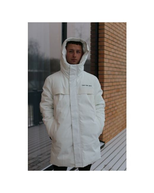 Lux куртка демисезон/зима силуэт полуприлегающий размер 48