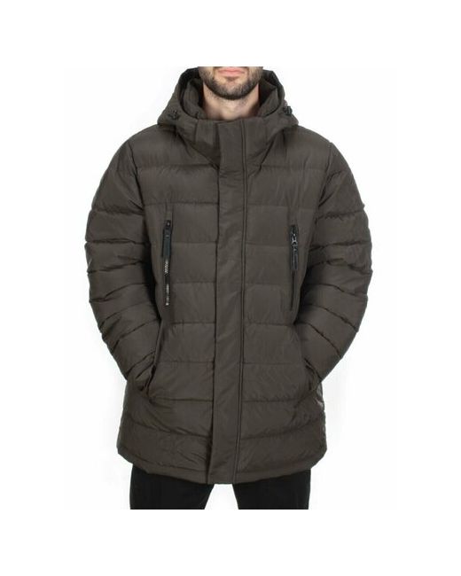 Не определен куртка зимняя силуэт прямой манжеты капюшон ветрозащитная внутренний карман грязеотталкивающая подкладка карманы размер 50