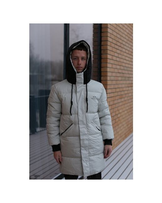 Lux куртка демисезон/зима силуэт полуприлегающий размер 46/48