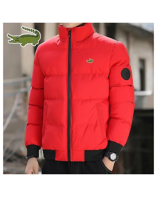 Cartelo куртка демисезон/зима силуэт полуприлегающий размер XL