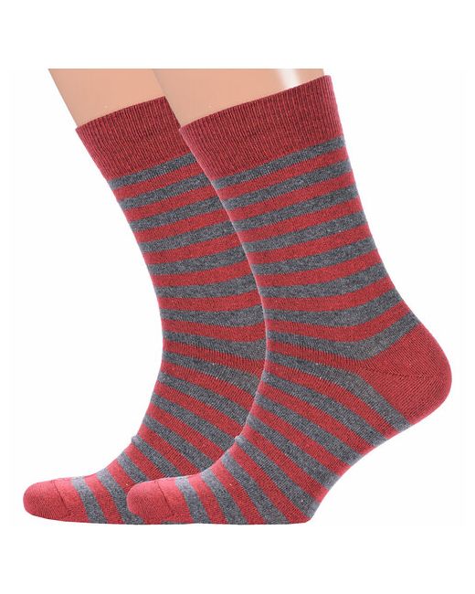 Красная Ветка носки 2 пары классические размер 27