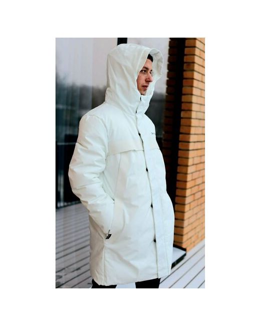Lux куртка демисезон/зима силуэт полуприлегающий размер 44