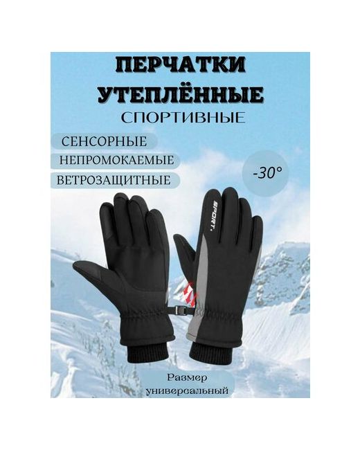 Спорт Перчатки сенсорные с утеплением черный