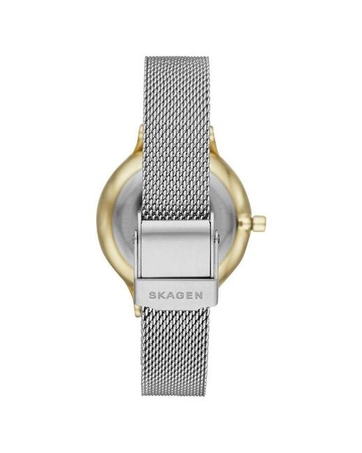 Skagen Наручные часы SKW2866 серебряный золотой
