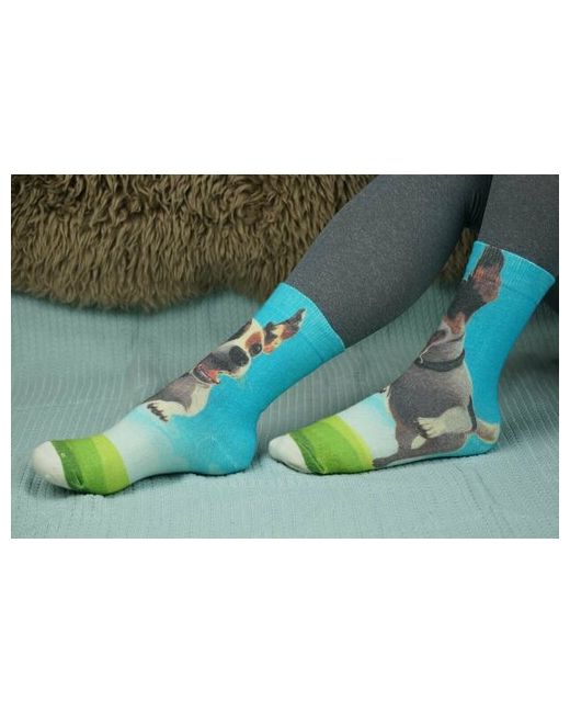 Шерстянки носки Базовая коллекция 1 пара высокие утепленные размер зеленый голубой