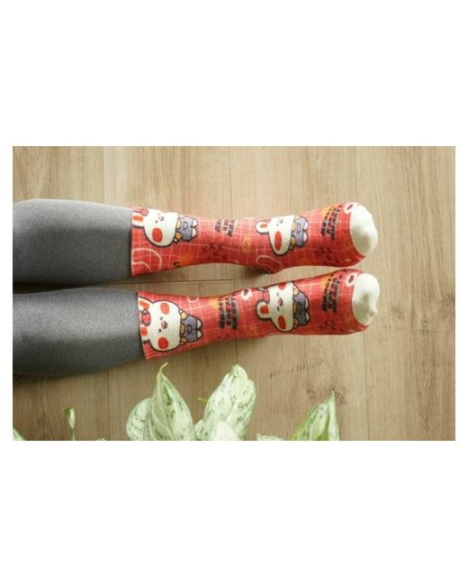 Шерстянки носки Базовая коллекция 1 пара высокие утепленные размер