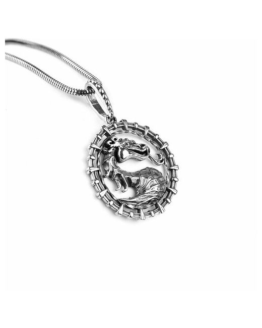 Sirius Jewelry Подвеска мужская/подвеска на шею мужская серебро/подвеска Дракон/кулон Дракон