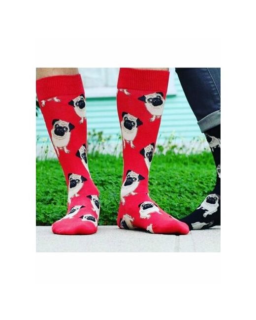 2Ak Носки Дизайнерские носки с принтом Мопсы размер красный