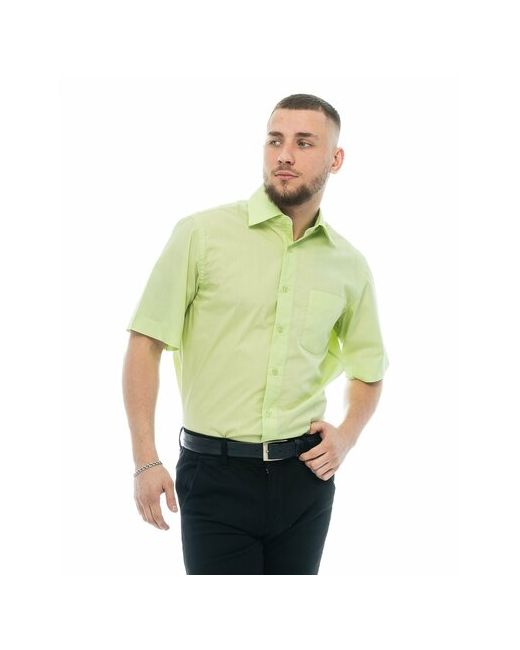 Maestro Рубашка размер 50RU/170-178/41 ворот зеленый