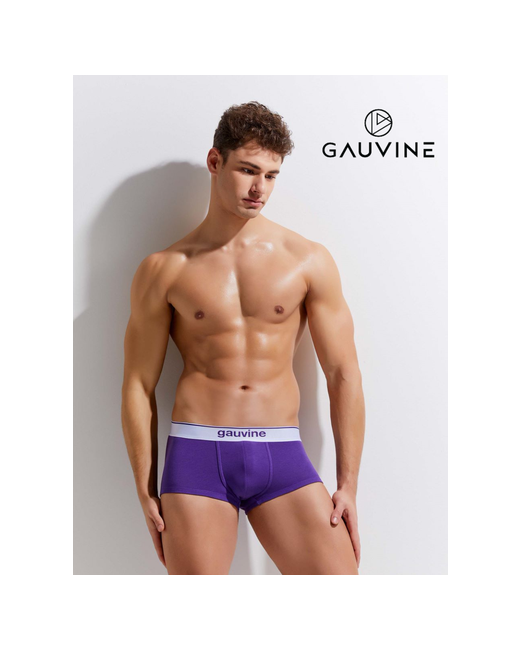 Gauvine Трусы размер XL фиолетовый