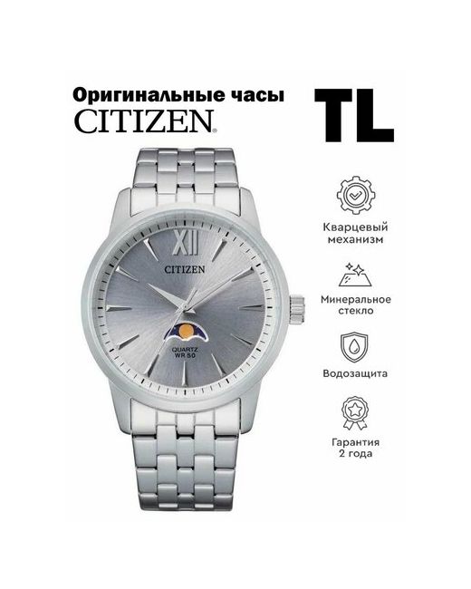 Citizen Наручные часы серый