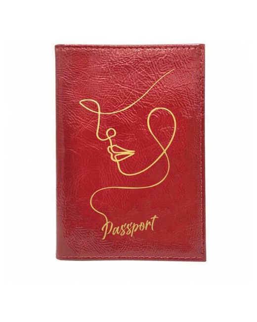 Brauberg для паспорта 238211 бордовый