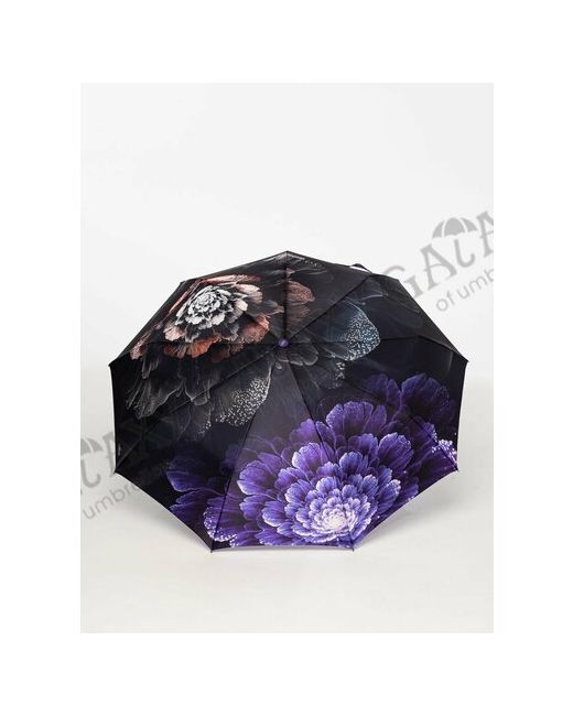 Galaxy Of Umbrellas Зонт фиолетовый черный