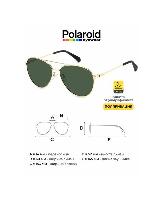 Polaroid Солнцезащитные очки PLD 4142/G/S/X PEF UC зеленый золотой