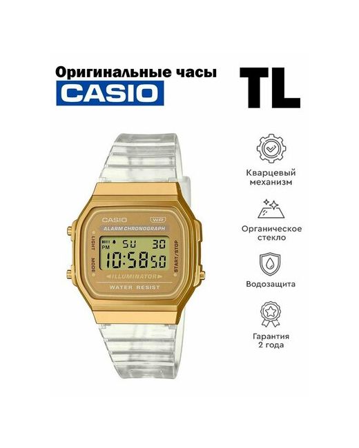Casio Наручные часы золотой