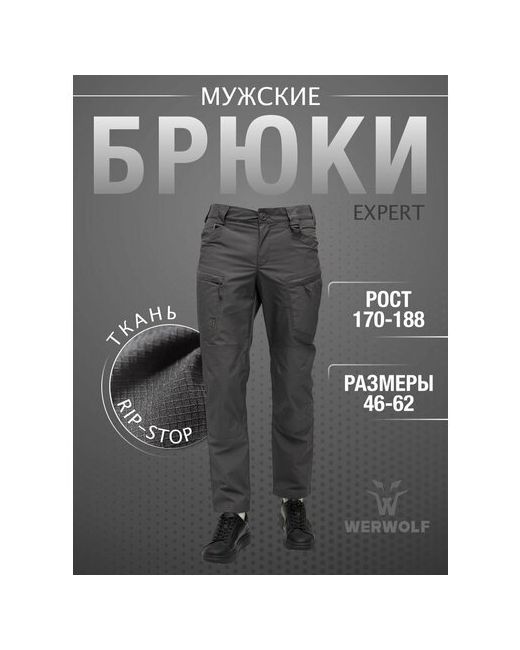 Werwolf Брюки карго размер 56/182-188