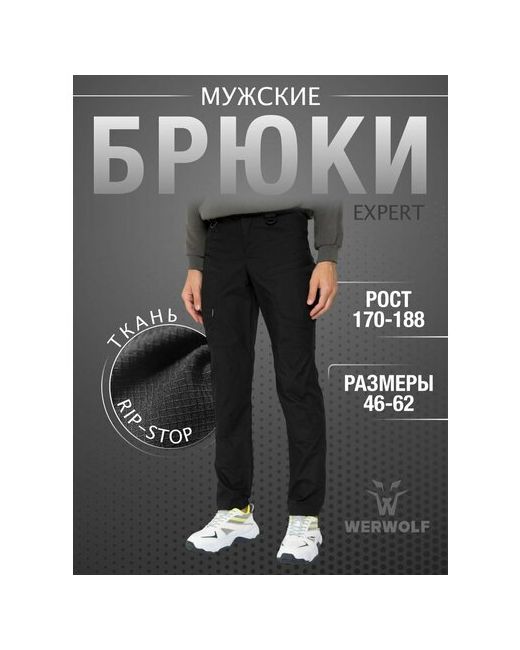 Werwolf Брюки карго размер 56/182-188
